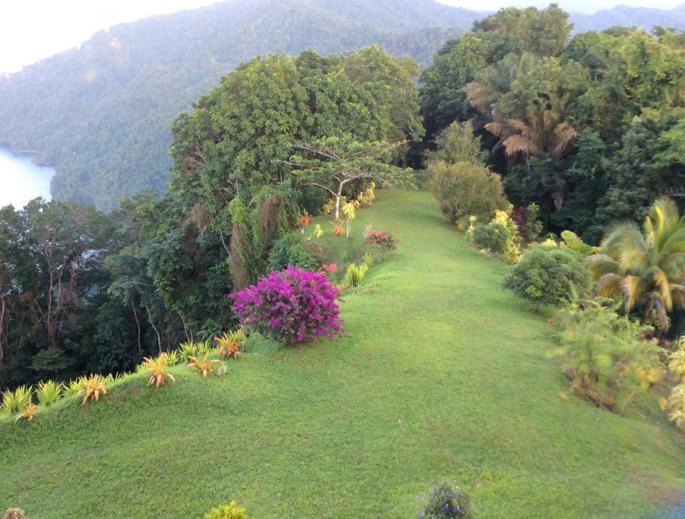 Mahogany Ridge Hotel Arouca Exterior foto