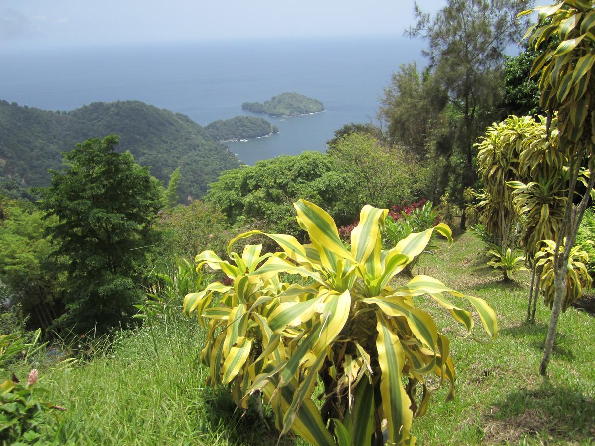 Mahogany Ridge Hotel Arouca Exterior foto