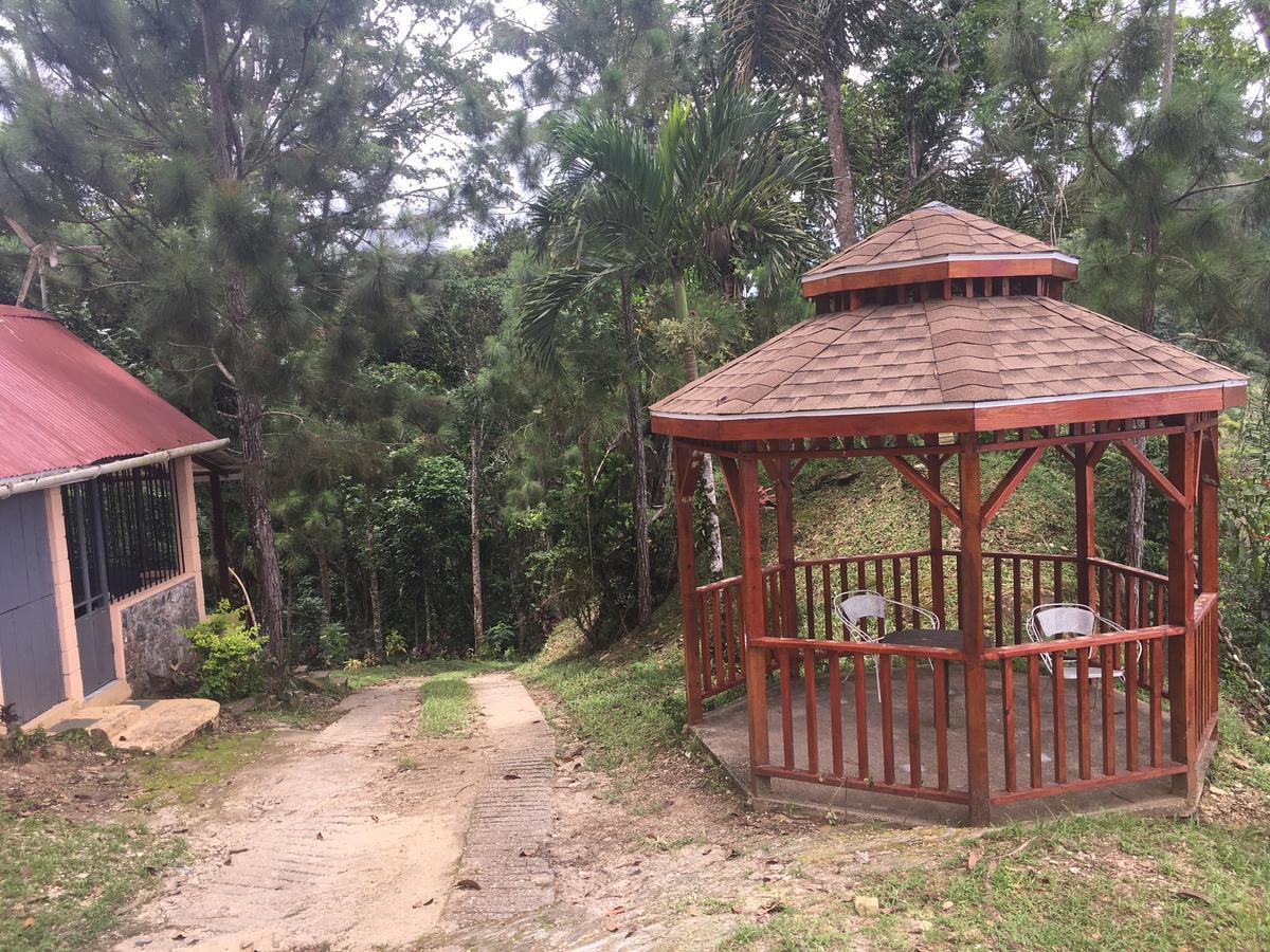 Mahogany Ridge Hotel Arouca Exterior foto